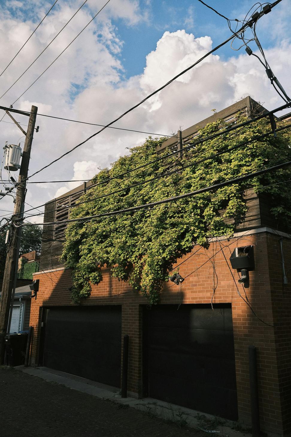 Leslieville Laneway Residence